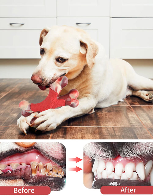 Load image into Gallery viewer, Large Dog Chew Toy for Aggressive Chewers- Tough Dog Toys Indestructible Bone Dog Toy,Nylon Durable Dog Teething Chew Dog Toys for Large/Medium Dogs
