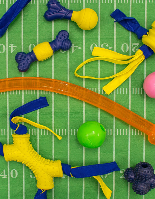 Load image into Gallery viewer, Power Play Crazy-Ball Dog Toy, Dog Balls, Interactive Dog Toys, Large
