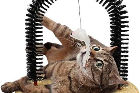 Interactive Cat Toys,Cat Arch Self Groomer Cat Brush,Cat Scratcher Toys,Cat Brush for Grooming with Cat Scratch Pad and Catnip,Cat Brush for Shedding,Cat Scratching Post