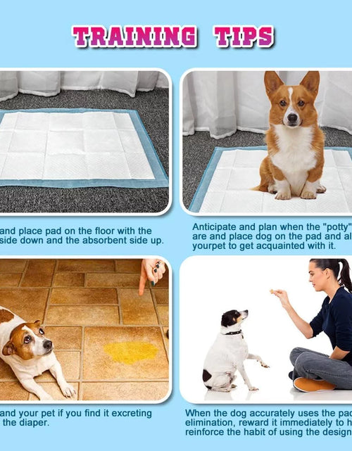 Load image into Gallery viewer, 150 Count Small ( S 17" X 24") Super Absorbent Dog and Puppy Training Pads, Pet Diaper Pee Pads for Small-Sized Dogs like Bulldog, Chow Chow, Border, Collie, Husky and so On
