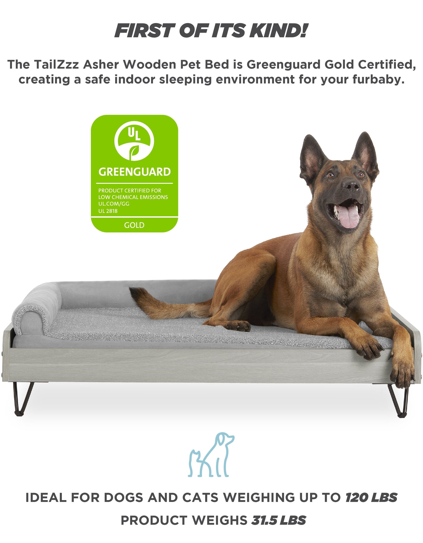Asher Wooden Pet Bed with Mattress | Large to Extra Large Pet Bed with Mattress | Elevated Pet Bed | Greenguard Gold Certified Wooden Pet Bed