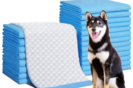 150 Count Small ( S 17" X 24") Super Absorbent Dog and Puppy Training Pads, Pet Diaper Pee Pads for Small-Sized Dogs like Bulldog, Chow Chow, Border, Collie, Husky and so On