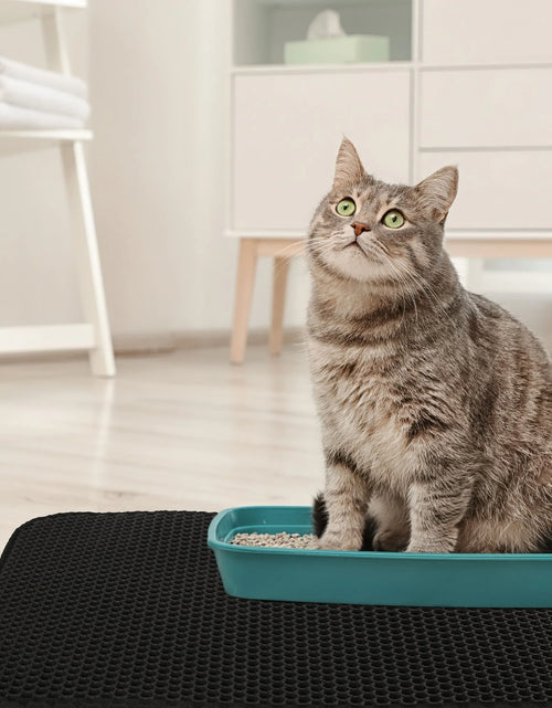Load image into Gallery viewer, Cat Litter Mat Large, Double Layer Urine Waterproof Trapper Mat, Non-Slip,24X30 In, Black
