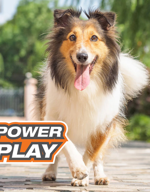 Load image into Gallery viewer, Power Play Crazy-Ball Dog Toy, Dog Balls, Interactive Dog Toys, Large
